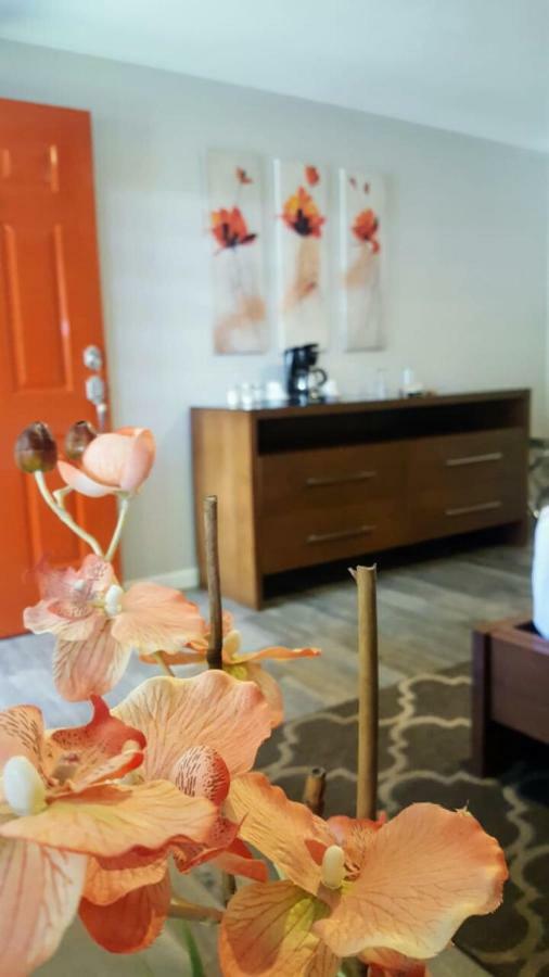 Hotel Quinta Arratz Villa de Juarez Esterno foto